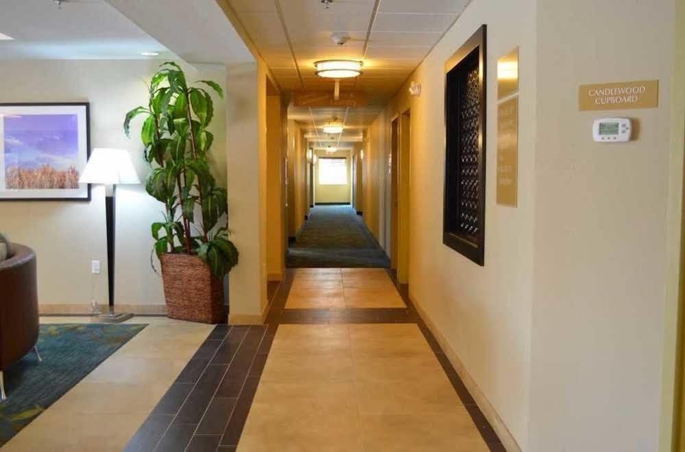 Candlewood Suites San Antonio Airport By Ihg Exteriér fotografie